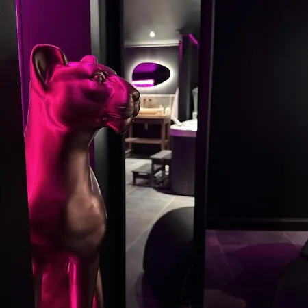 B Panther Proche Futuroscope Arena Apartament Neuville-du-Poitou