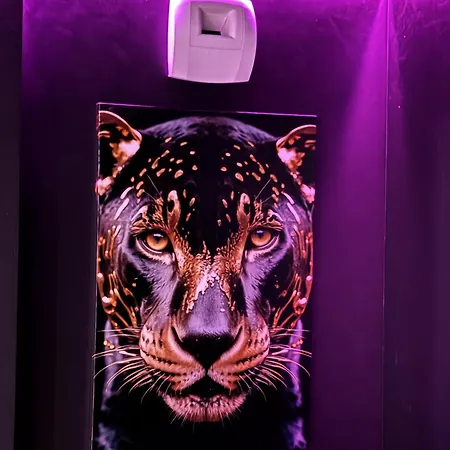 B Panther Proche Futuroscope Arena Apartament Neuville-du-Poitou